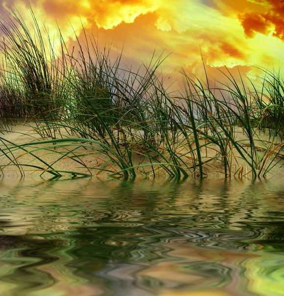 A photo of beach grass, sand, water and brilliant sunset clouds.