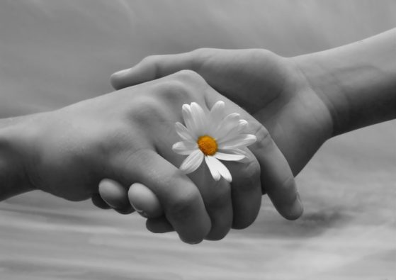A photo of young man and woman holding hands with a daisy between the womans fingers.
